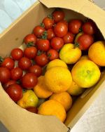 毎日信じられないぐらい暑いですね🥵  先日、患者さんからトマト🍅とみかん🍊の差し入れいただきました🥰
スタッフ一同美味しくいただきました！
ありがとうございます😊
熱中症予防にはトマトに塩をかけて食べると良いそうです🙆（塩分とミネラルが同時に摂れるから）  まだまだ猛暑日は続きそうですが、水分補給を忘れずに元気に夏を乗り切りましょう😃  新東京ビル歯科クリニック
千代田区丸の内3-3-1  新東京ビル3階
03-3211-8036  #差し入れ#トマト#みかん#感謝#丸の内歯科#有楽町歯科#インプラント#ホワイトニング#アライナー矯正